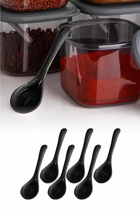 6-Pack Spice Spoons